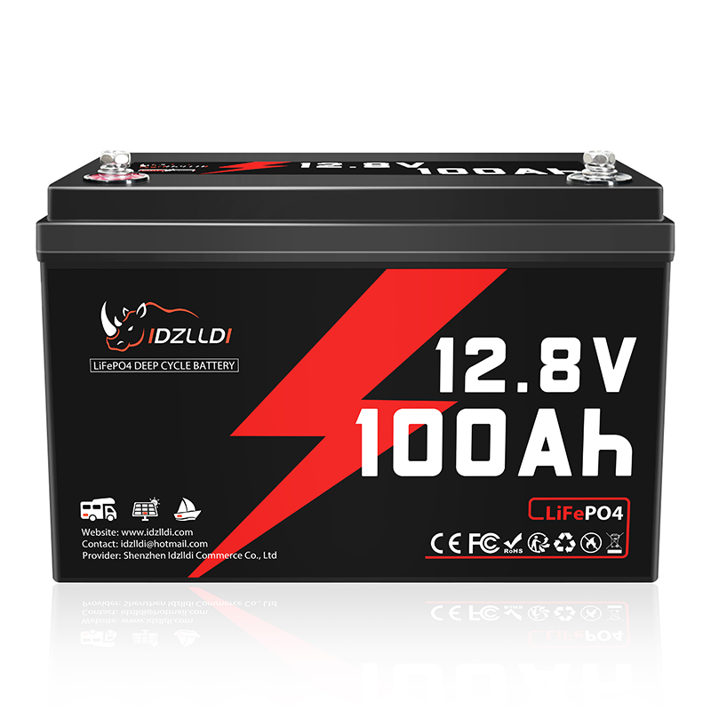 Renewable Energy Source - IDZLLDI 12.8V 100Ah LiFePO4-batterij Ingebouwde 100A