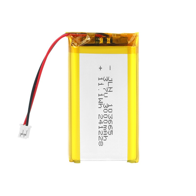 103665 3.7 V 3000 mAh Polymeer - Renewable Energy Source recensie en prijs